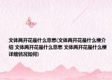 文體兩開花是什么意思(文體兩開花是什么梗介紹 文體兩開花是什么意思 文體兩開花是什么梗詳細(xì)情況如何)