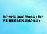 梅子黃時(shí)日日晴這首詩(shī)意思（梅子黃時(shí)日日晴全詩(shī)意思簡(jiǎn)介介紹）