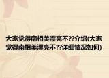 大家覺(jué)得南相美漂亮不??介紹(大家覺(jué)得南相美漂亮不??詳細(xì)情況如何)