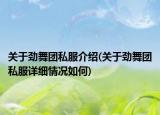 關(guān)于勁舞團(tuán)私服介紹(關(guān)于勁舞團(tuán)私服詳細(xì)情況如何)