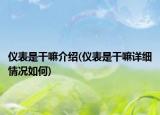 儀表是干嘛介紹(儀表是干嘛詳細(xì)情況如何)