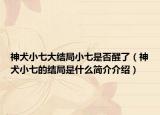 神犬小七大結(jié)局小七是否醒了（神犬小七的結(jié)局是什么簡(jiǎn)介介紹）