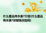 什么是遠(yuǎn)傳水表?介紹(什么是遠(yuǎn)傳水表?詳細(xì)情況如何)