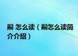 嗣 怎么讀（嗣怎么讀簡介介紹）