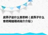 皮燕子是什么意思?。ㄆぱ嘧邮裁匆馑季W(wǎng)絡(luò)用語簡介介紹）