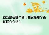 西安是在哪個?。ㄎ靼彩悄膫€省的簡介介紹）