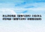 怎么評(píng)價(jià)電影《愛(ài)情與靈藥》介紹(怎么評(píng)價(jià)電影《愛(ài)情與靈藥》詳細(xì)情況如何)