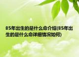 85年出生的是什么命介紹(85年出生的是什么命詳細(xì)情況如何)