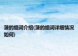 菠的組詞介紹(菠的組詞詳細情況如何)