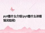 pyt是什么介紹(pyt是什么詳細情況如何)