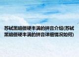 蘇軾黑暗僵硬豐滿的拼音介紹(蘇軾黑暗僵硬豐滿的拼音詳細(xì)情況如何)