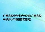 廣西賓陽中學多大?介紹(廣西賓陽中學多大?詳細情況如何)