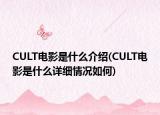 CULT電影是什么介紹(CULT電影是什么詳細(xì)情況如何)
