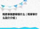 稅務(wù)審核都審核什么（稅審審什么簡介介紹）