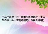 十二生肖里一心一意的應(yīng)該是哪個(gè)（十二生肖中一心一意的動(dòng)物是什么簡(jiǎn)介介紹）
