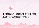 支付寶瓜分一億能分多少（支付寶瓜分十五億在哪簡介介紹）