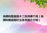 光陰似箭是指十二生肖哪個(gè)肖（光陰似箭是指什么生肖簡(jiǎn)介介紹）