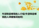 牛劍鋒是哪里的人介紹(牛劍鋒是哪里的人詳細(xì)情況如何)