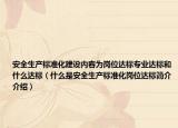 安全生產(chǎn)標(biāo)準(zhǔn)化建設(shè)內(nèi)容為崗位達(dá)標(biāo)專業(yè)達(dá)標(biāo)和什么達(dá)標(biāo)（什么是安全生產(chǎn)標(biāo)準(zhǔn)化崗位達(dá)標(biāo)簡介介紹）