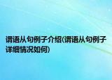 謂語從句例子介紹(謂語從句例子詳細(xì)情況如何)