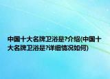 中國十大名牌衛(wèi)浴是?介紹(中國十大名牌衛(wèi)浴是?詳細情況如何)