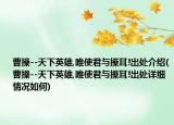 曹操--天下英雄,唯使君與操耳!出處介紹(曹操--天下英雄,唯使君與操耳!出處詳細(xì)情況如何)