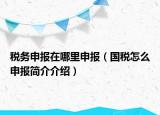 稅務(wù)申報在哪里申報（國稅怎么申報簡介介紹）