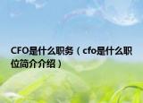 CFO是什么職務(wù)（cfo是什么職位簡介介紹）