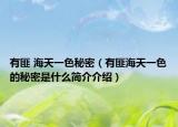 有匪 海天一色秘密（有匪海天一色的秘密是什么簡(jiǎn)介介紹）