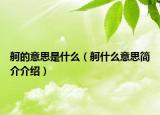 舸的意思是什么（舸什么意思簡(jiǎn)介介紹）