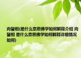 肉髻相(是什么意思佛學(xué)如何解釋介紹 肉髻相 是什么意思佛學(xué)如何解釋詳細(xì)情況如何)