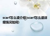 scarf怎么讀介紹(scarf怎么讀詳細(xì)情況如何)