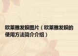 歐萊雅發(fā)膜圖片（歐萊雅發(fā)膜的使用方法簡介介紹）