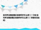 寶可夢(mèng)漆黑的魅影低極鈞桿怎么用\