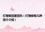 燈籠椒百度百科（燈籠椒有幾種簡介介紹）