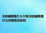 灰的偏旁是什么介紹(灰的偏旁是什么詳細(xì)情況如何)