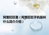 阿里旺旺是（阿里旺旺手機(jī)版叫什么簡介介紹）