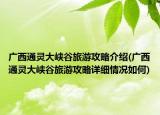 廣西通靈大峽谷旅游攻略介紹(廣西通靈大峽谷旅游攻略詳細(xì)情況如何)