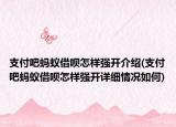 支付吧螞蟻借唄怎樣強(qiáng)開介紹(支付吧螞蟻借唄怎樣強(qiáng)開詳細(xì)情況如何)