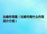 比喻作用是（比喻句有什么作用簡介介紹）