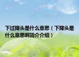 下過(guò)降頭是什么意思（下降頭是什么意思啊簡(jiǎn)介介紹）