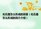 化石是怎么形成的簡答（化石是怎么形成的簡介介紹）