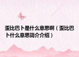 歪比巴卜是什么意思啊（歪比巴卜什么意思簡介介紹）