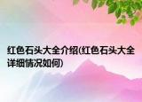 紅色石頭大全介紹(紅色石頭大全詳細情況如何)