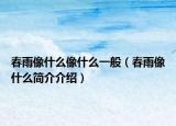 春雨像什么像什么一般（春雨像什么簡介介紹）