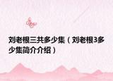 劉老根三共多少集（劉老根3多少集簡介介紹）