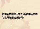 皮字的筆順怎么寫介紹(皮字的筆順怎么寫詳細情況如何)