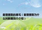 查理普斯的眉毛（查理普斯為什么叫斷眉簡(jiǎn)介介紹）