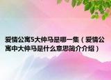 愛情公寓5大仲馬是哪一集（愛情公寓中大仲馬是什么意思簡(jiǎn)介介紹）
