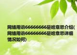 網絡用語66666666是啥意思介紹(網絡用語66666666是啥意思詳細情況如何)